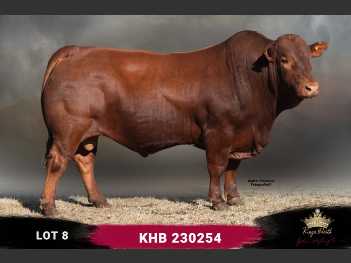 KHB 230254