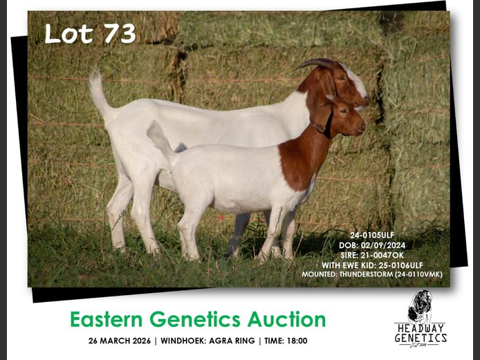 24-0105ULF | HEADWAY GENETICS