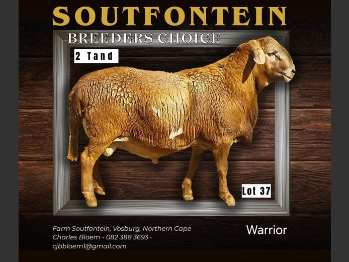 CB 240134 | SOUTFONTEIN MEATMASTERS