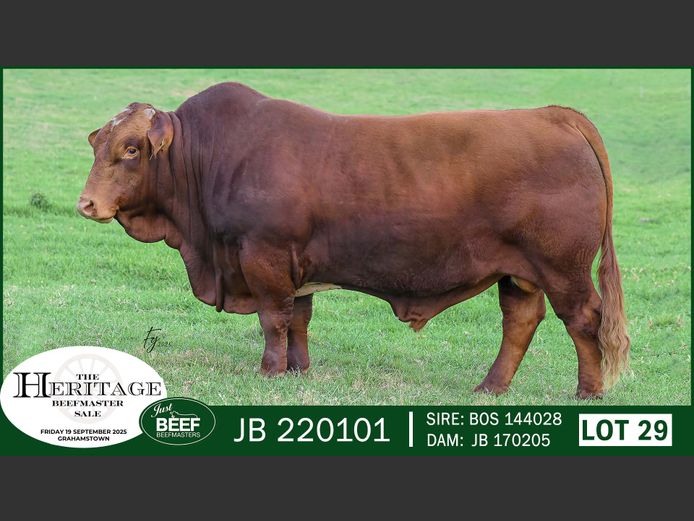 JB220101 | SUPER PRO DAIRY