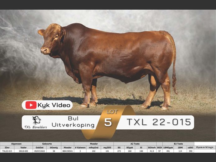 TXL22-015