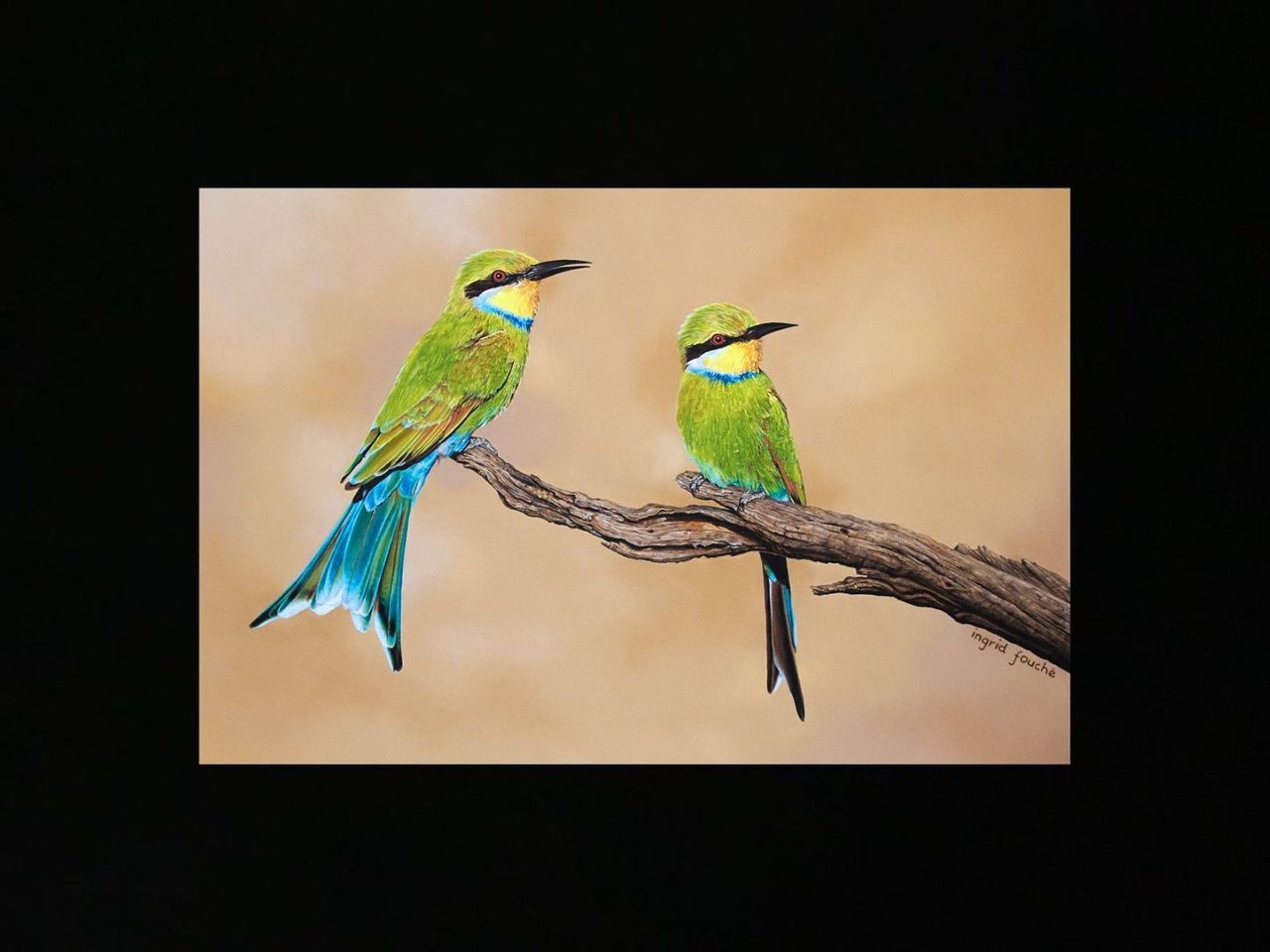 images