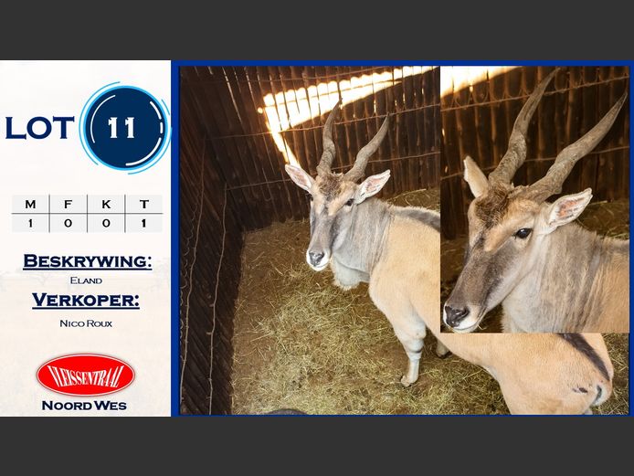 Eland