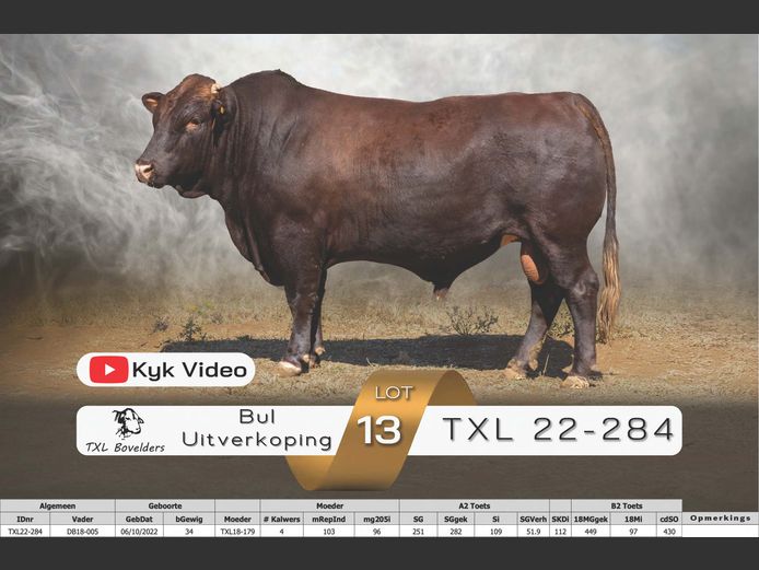 TXL22-284