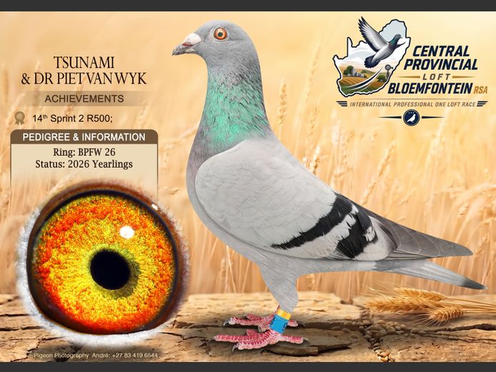 BPFW 26 2026 | TSUNAMI & DR PIET VAN
WYK
