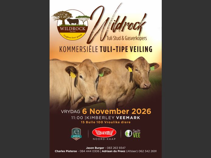 WILDROCK TULI STUD & GASVERKOPERS KOMMERSIËLE TULI-TIPE VEILING