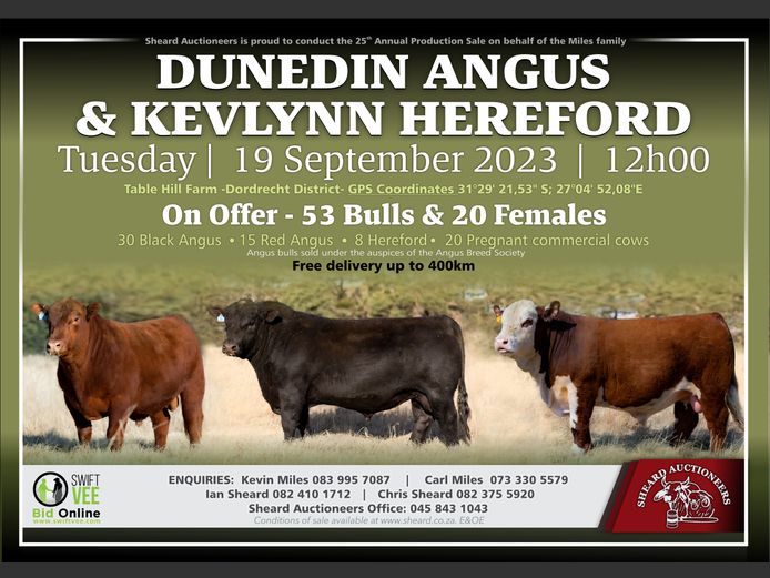 DUNEDIN ANGUS AND KEVLYNN HEREFORD AUCTION