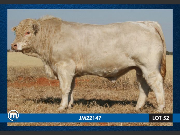 JM 220147