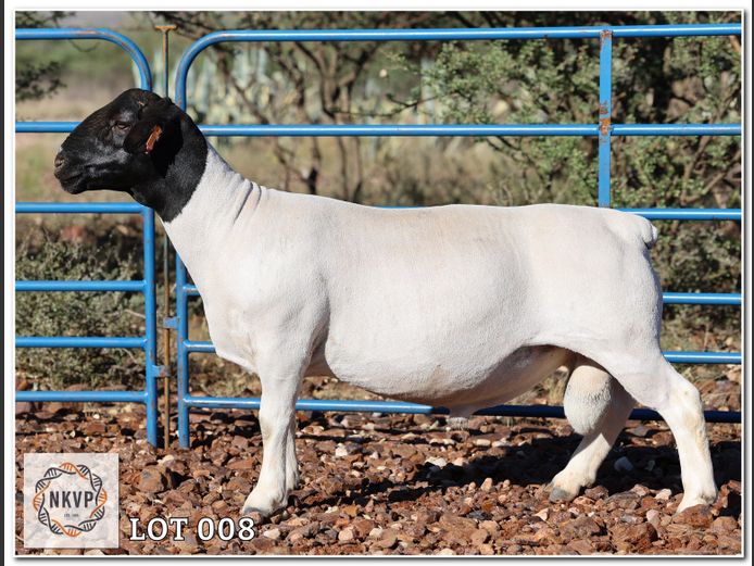 1643 24 0333 | C.C. VAN DEVENTER