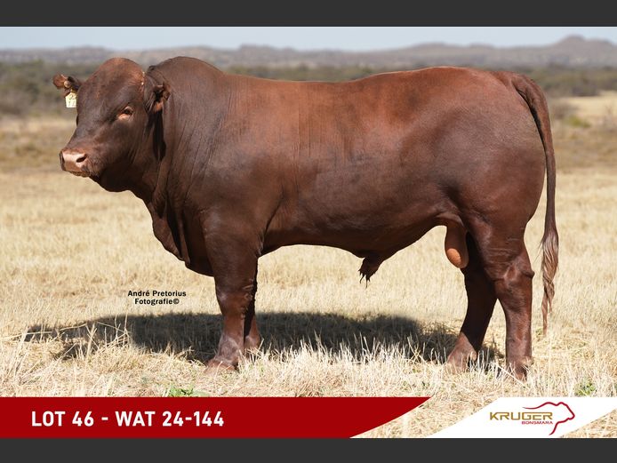 WAT240144 | KRUGER BOERDERY