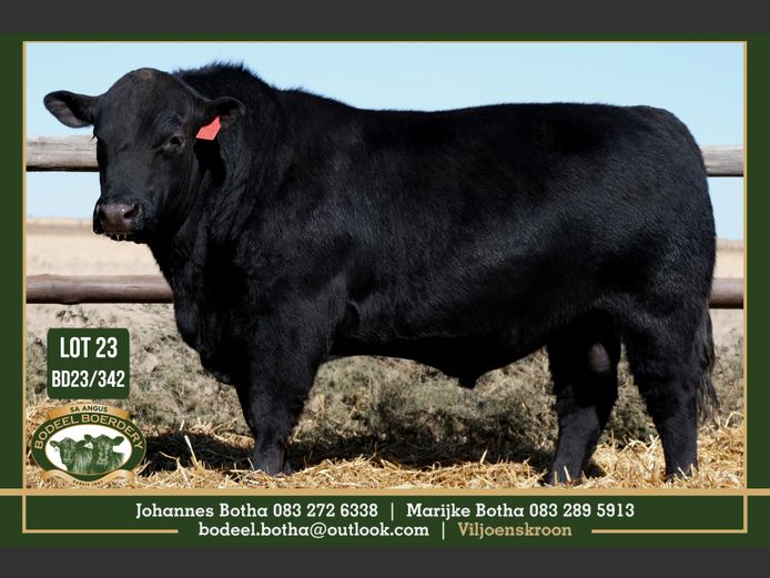 BD 230342 | BODEEL BOERDERY