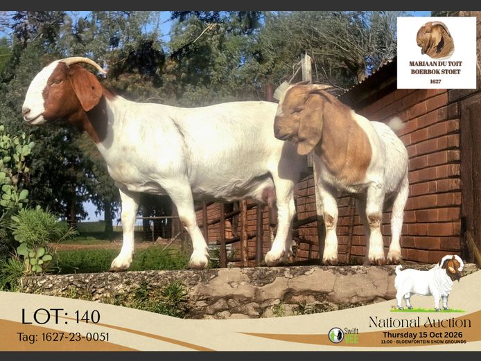1627-23-0051 | Mariaan du Toit Boerbokstoet