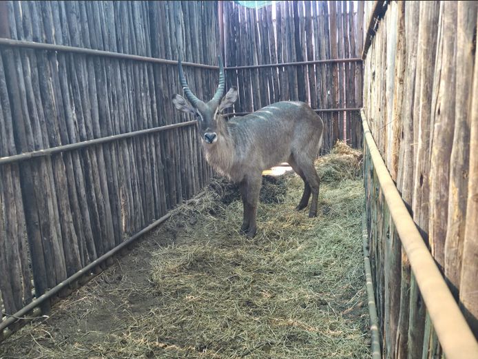 WATERBOK | HANLEY
