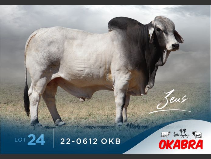 22-0612 OKB