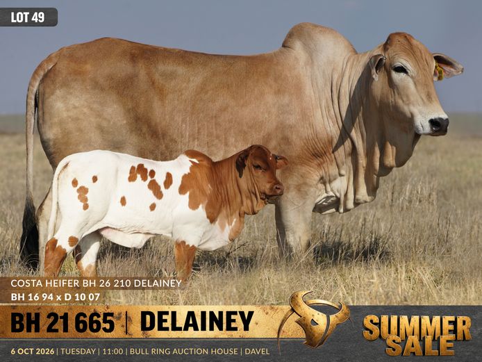 BH210665 | B. HURWITZ FARMING