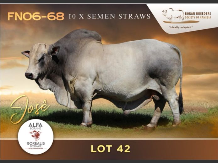 FN060068 | BOREALIS BORANE