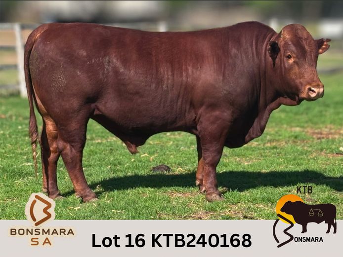 KTB240168 | BOTTERFONTEIN ESTATES CC