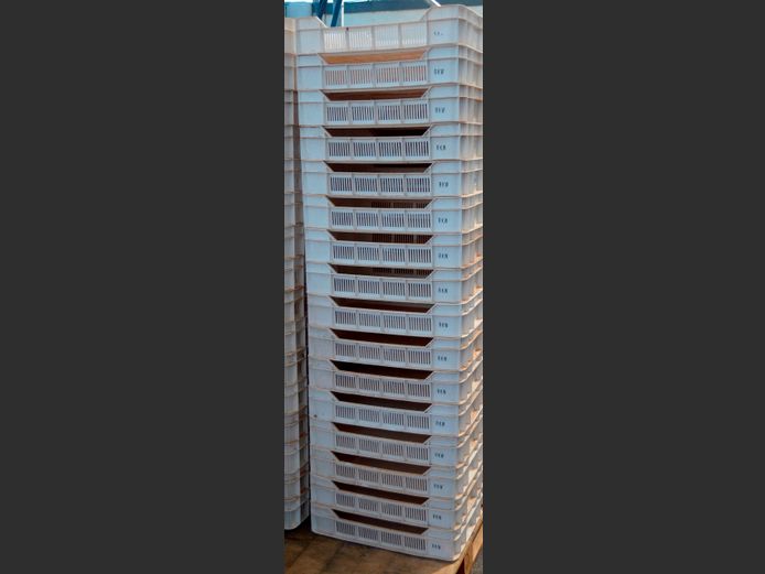 LOT OF 16: PLASTIC FRUIT CRATES