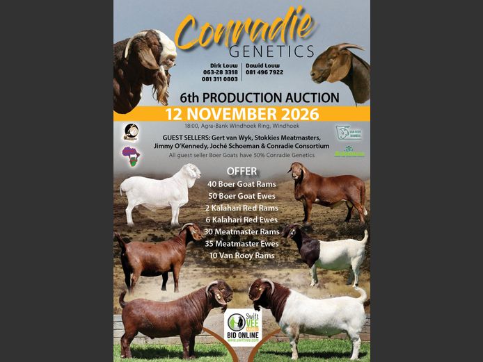 CONRADIE GENETICS 6TH PRODUCTION AUCTION