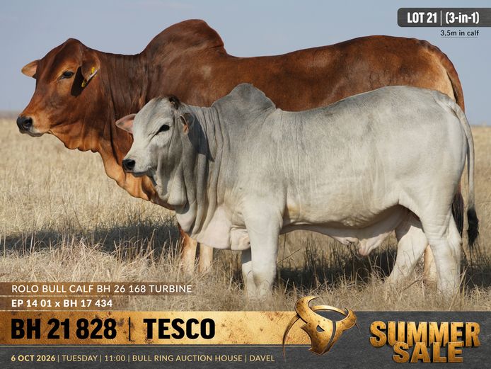 BH210828 | B. HURWITZ FARMING