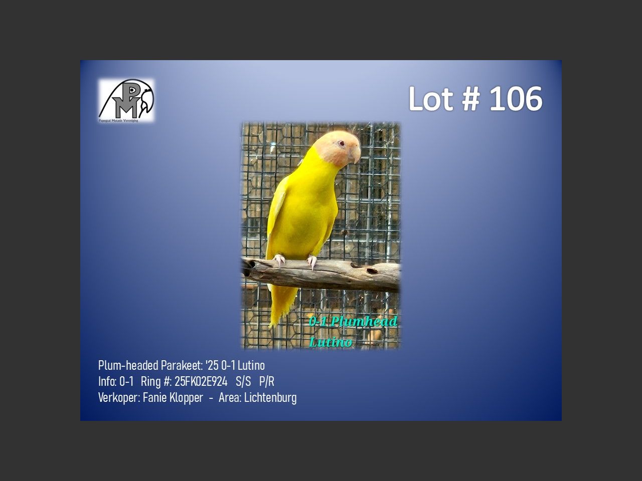 images
