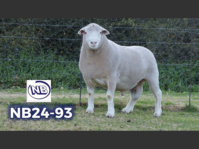 NB240093 | NOVA BARLETTA BOERDERY