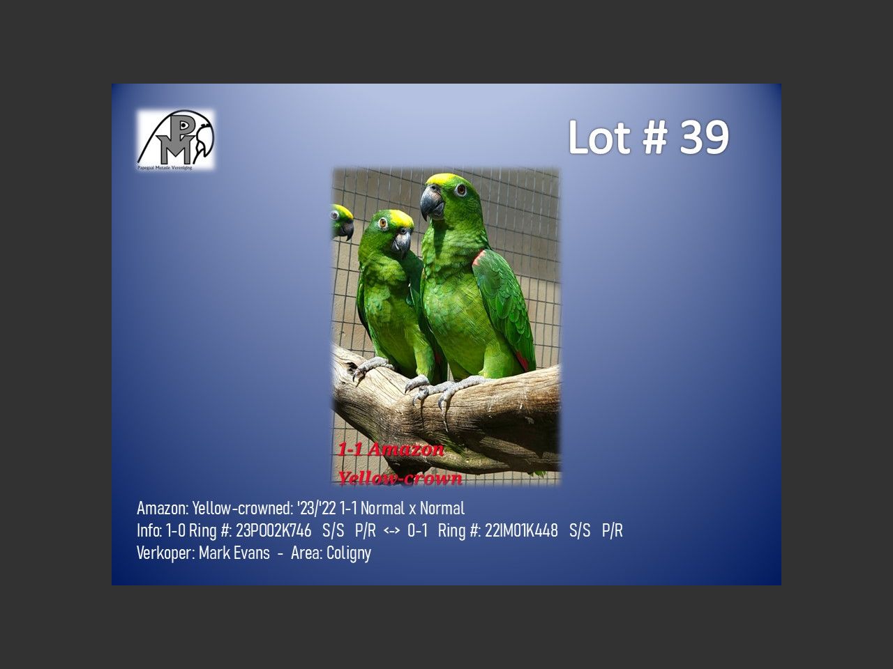 images