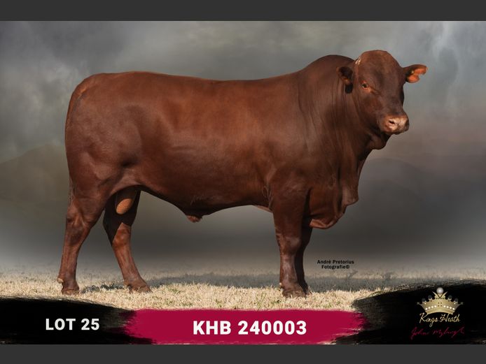 KHB 240003