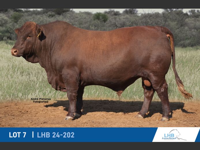 LHB240202 | LEEUHEUWEL BOERDERY (EDMS) BPK