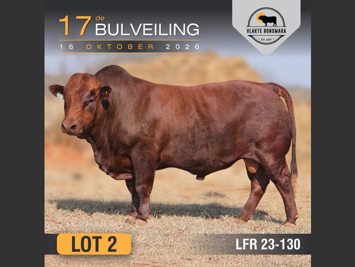 LFR230130 | LEON RIEKERT & SEUNS