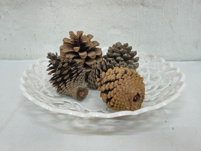 White Lattice Edge Plastic Bowl with Decorative Pine Cones