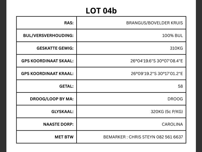 BRANGUS/BOVELDER KRUIS