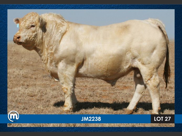 JM 220038