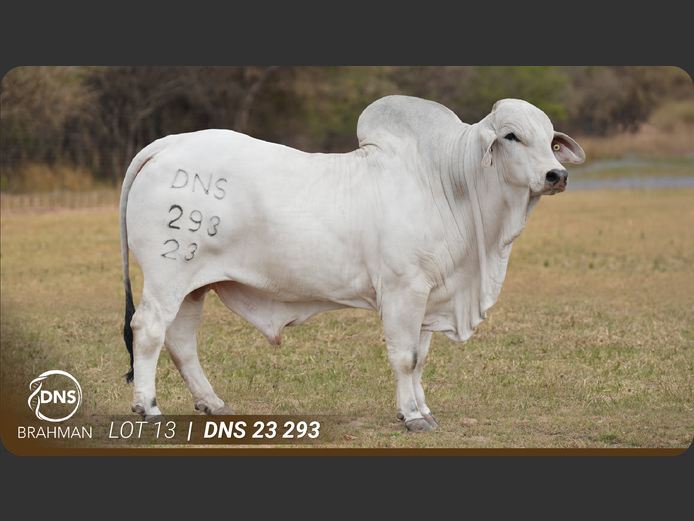 DNS23293 | JES-C BOERDERY (PTY) LTD