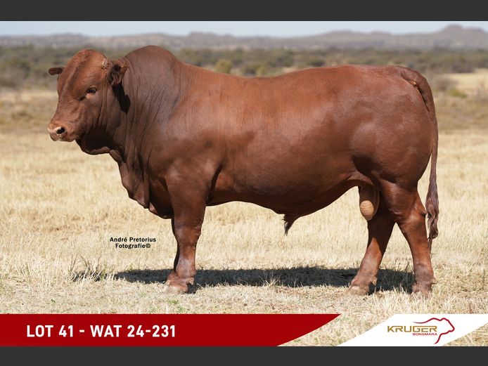 WAT240231 | KRUGER BOERDERY