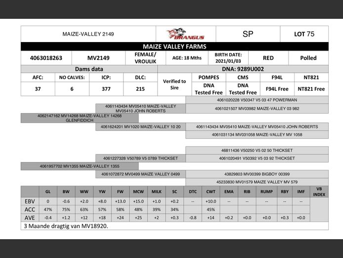 MV2149 | MAIZE VALLEY FARMS