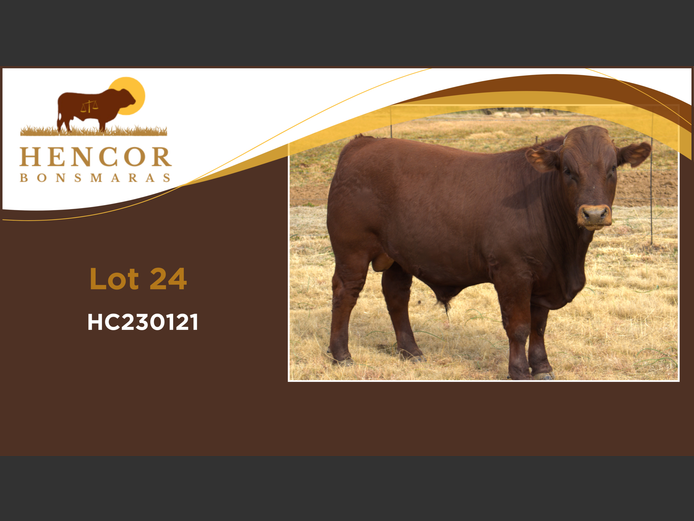 HC  230121 | HENCOR BOERDERY