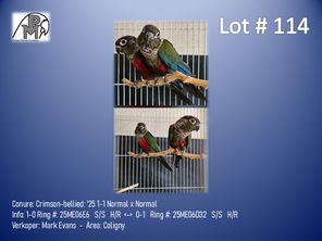 images
