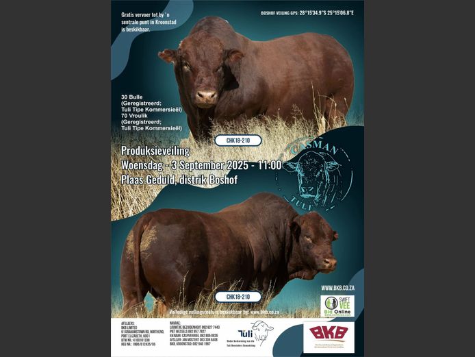 CASMAN TULIS PRODUKSIEVEILING