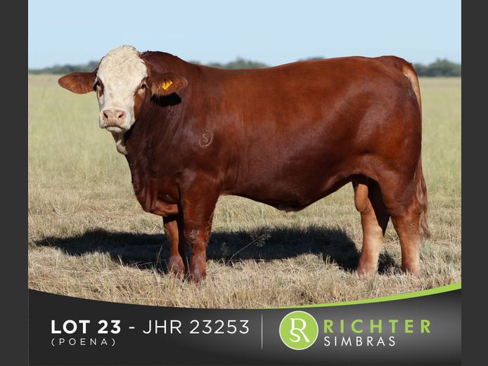 JHR23253