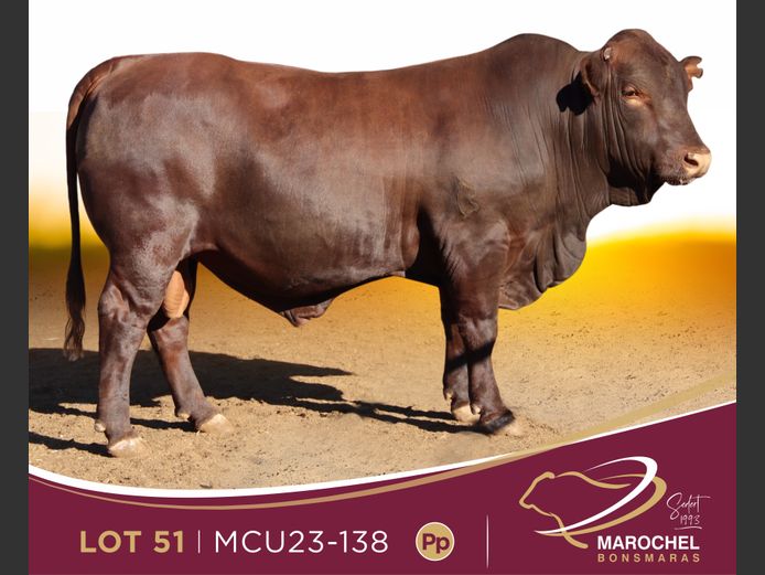 MCU 230138