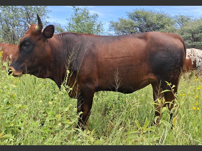 ZNS 230047 | ARIES FAMILIE TRUST