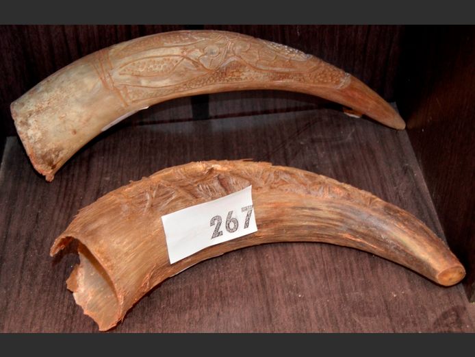 PAIR CARVED HORNS