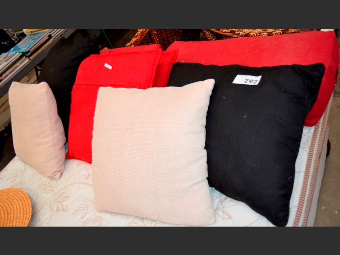 VARIOUS SCATTER CUSHIONS