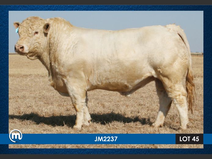 JM 220037