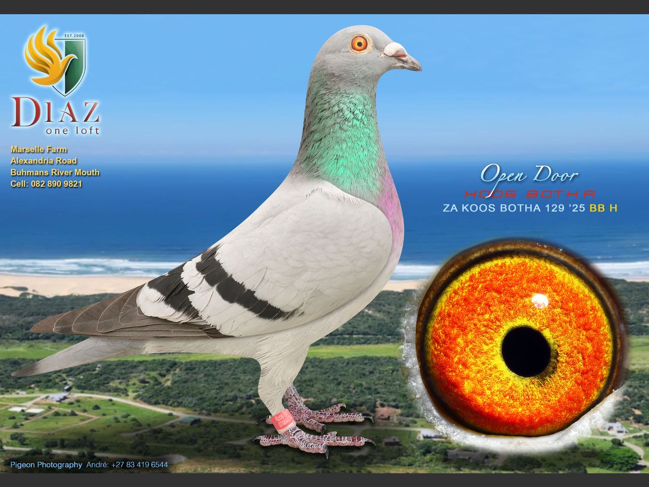 images