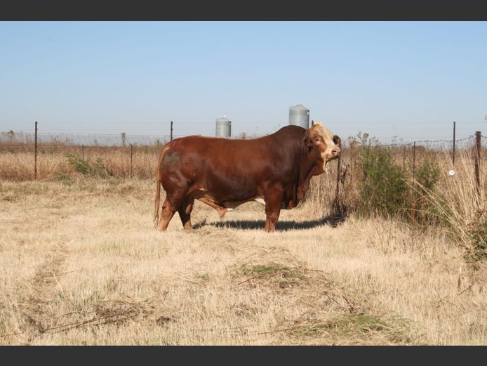 VBG2271 | VLEISBERG BOERDERY
