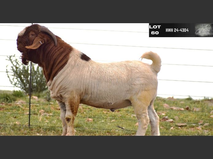 24-4034 HWH | GERT VAN WYK