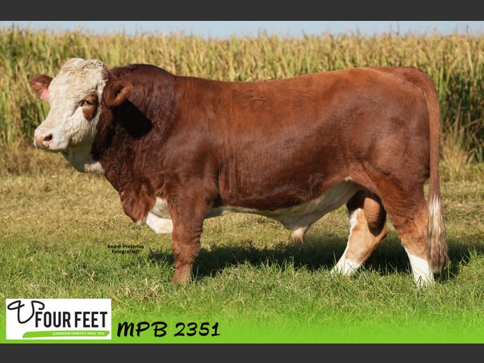 MPB2351 | EL BARRY