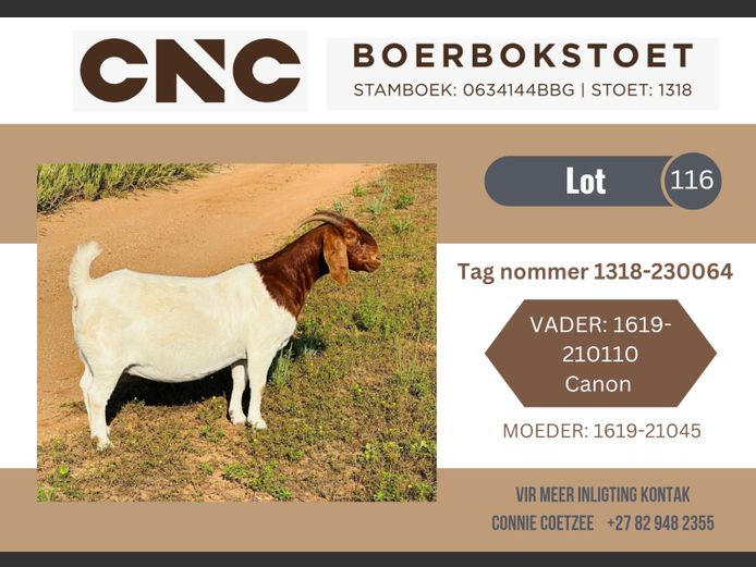 1318230064 | CNC Boerbokstoet